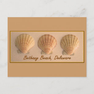 Bethany Beach, Delaware Postcard