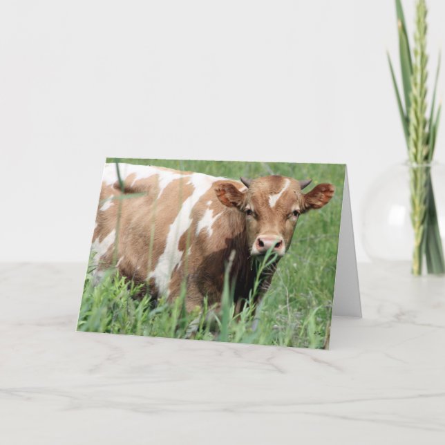 Betsy, Hello Card (Front)