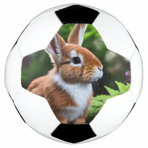 Betsy The Brown And White Bunny, Soccer Ball