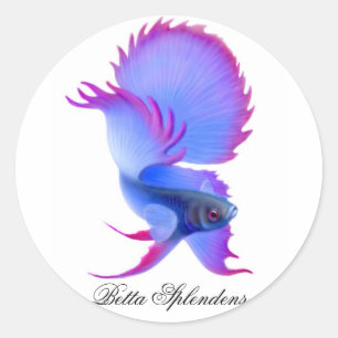 Betta Fighting Fish Sticker