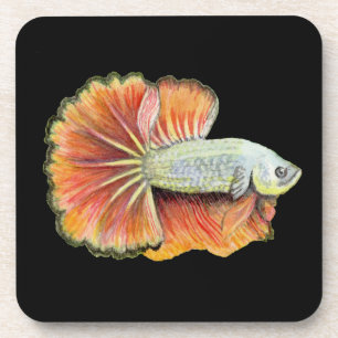 Betta Fish Beverage Coaster