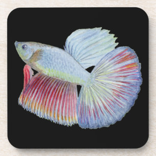 Betta Fish Beverage Coaster