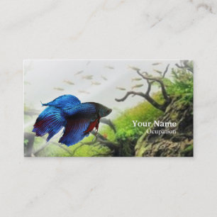 Betta Fish Business Card