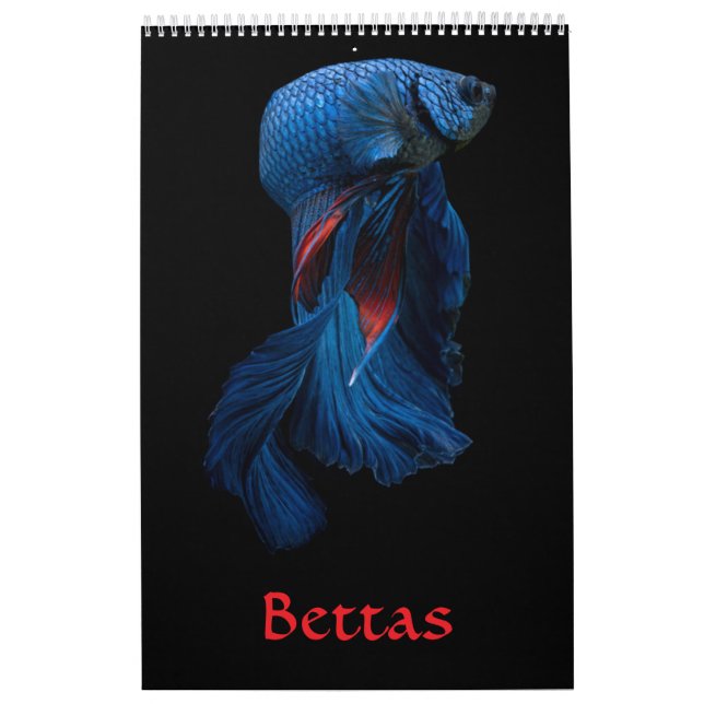 Betta fish Calendar (Cover)