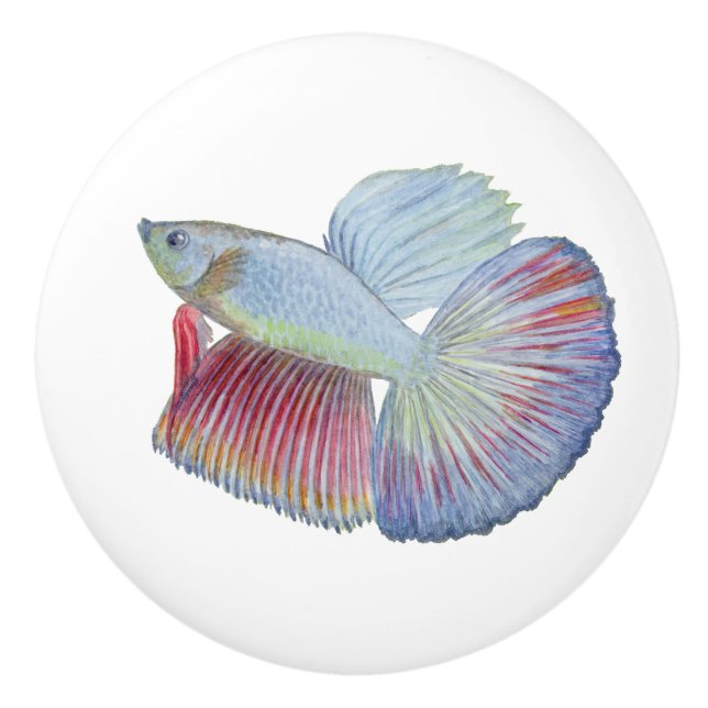 Betta Fish Ceramic Knob (Front)