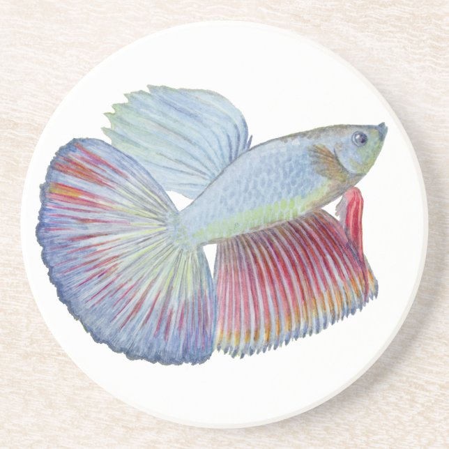 Betta Fish Coaster (Front)