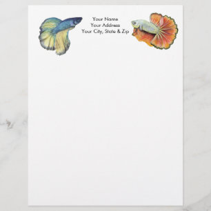 Betta Fish Custom Letterhead