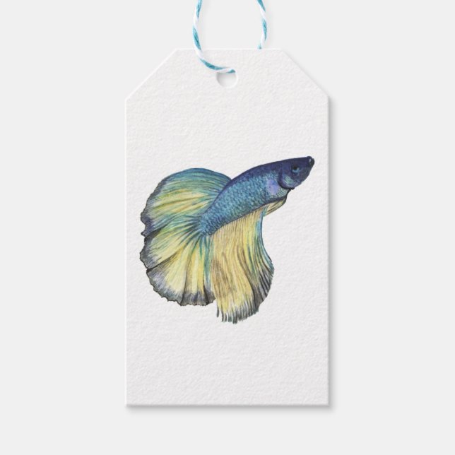 Betta Fish Gift Tags (Front)