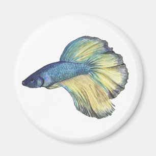 Betta Fish Magnet