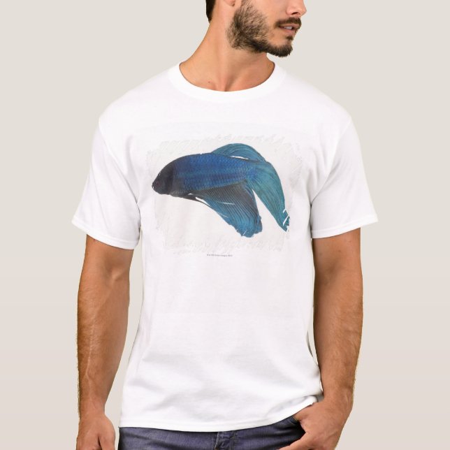 Betta Fish or Male Blue Siamese Fighting Fish T-Shirt (Front)