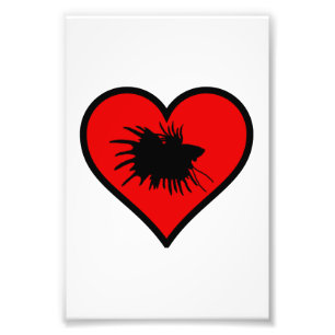 Betta Heart Love Fish Silhouette Photo Print