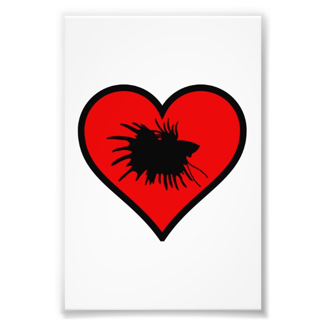 Betta Heart Love Fish Silhouette Photo Print (Front)