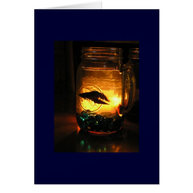Betta in a Jar (Front)