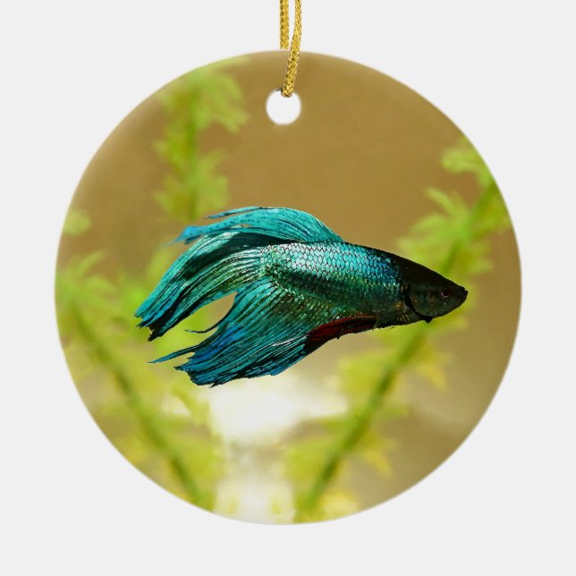 Betta is Better Original Ceramic Tree Decoration (Front)