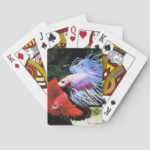 Betta Playing Cards