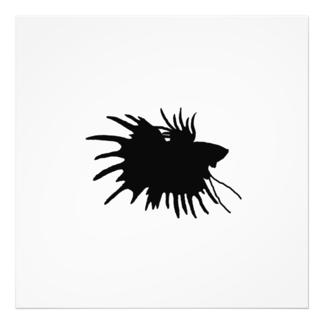 Betta Silhouette Love Siamese Fighting Fish Photo Print (Front)