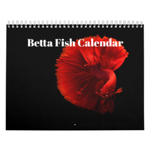 Bettafish 2026 calendar