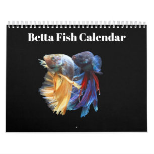 Bettafish 2027 calendar