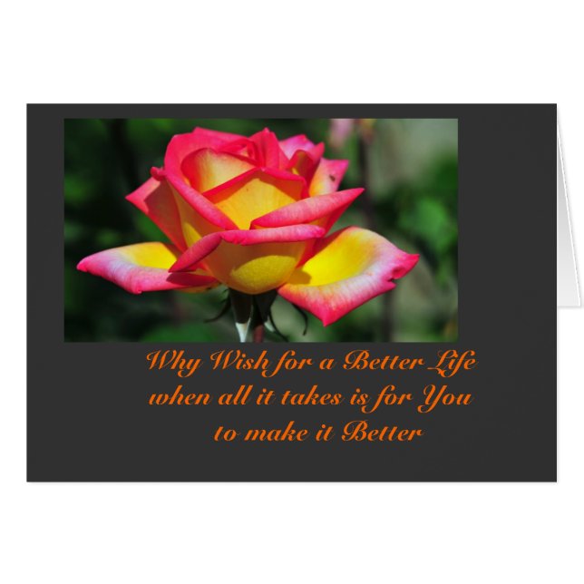 Better Life (Front Horizontal)