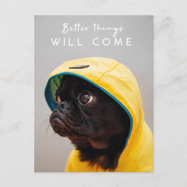 Better Things will Come | Pug Dog Cute Raincoat Postcard (Front)