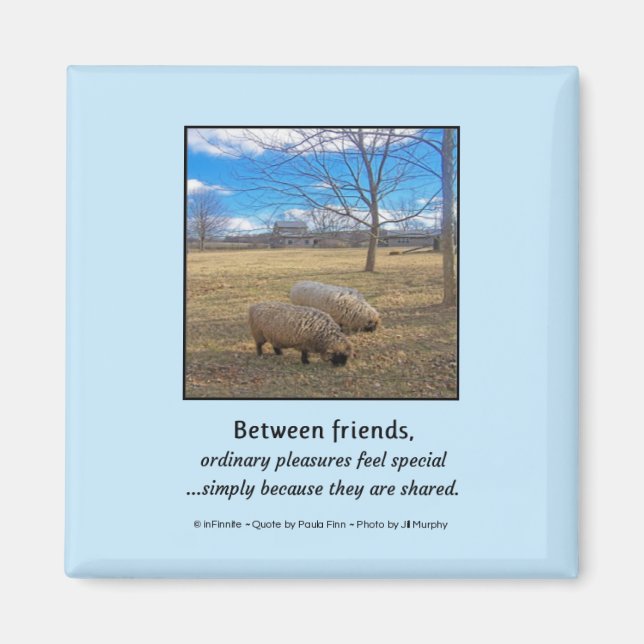 Between Friends... Magnet (Front)