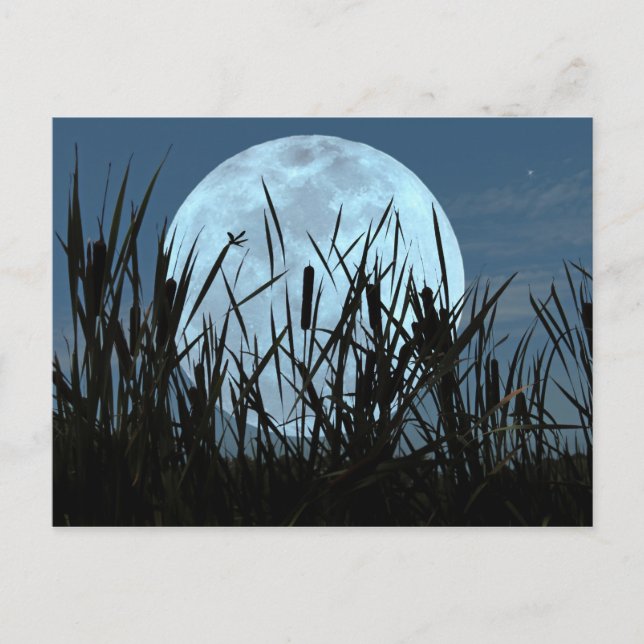 Between Moon and Marsh Postcard (Front)