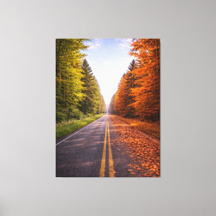 Between Seasons – The Road of Choice Canvas Print