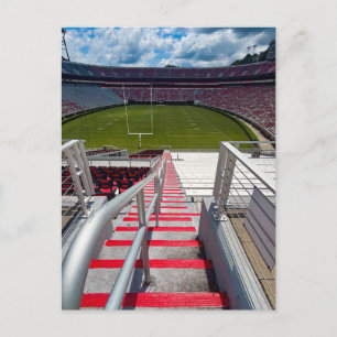 Between the Hedges Postcard