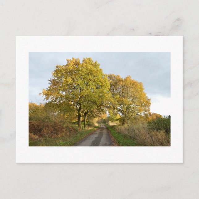 Between the Oaks: Rural Cheshire Postcard (Front)