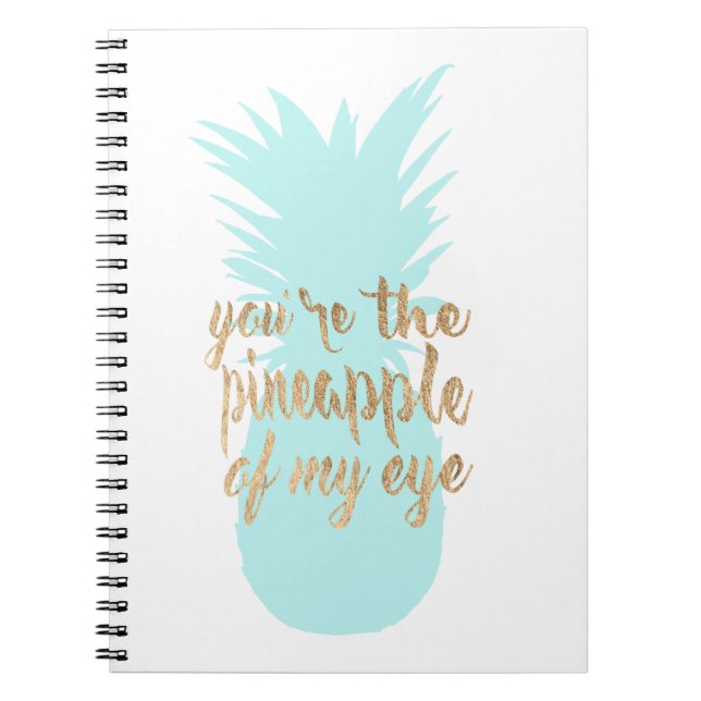 Between the Red I Spiral Notebook (Front)