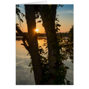 Between The Trees Sunrise Greeting Card