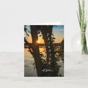 Between The Trees Sunrise Thinking Of You Card