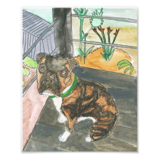 Bev the Pup Print