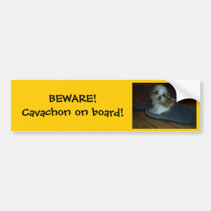 BEWARE! Cavachon on board! Bumper Sticker. Sticker