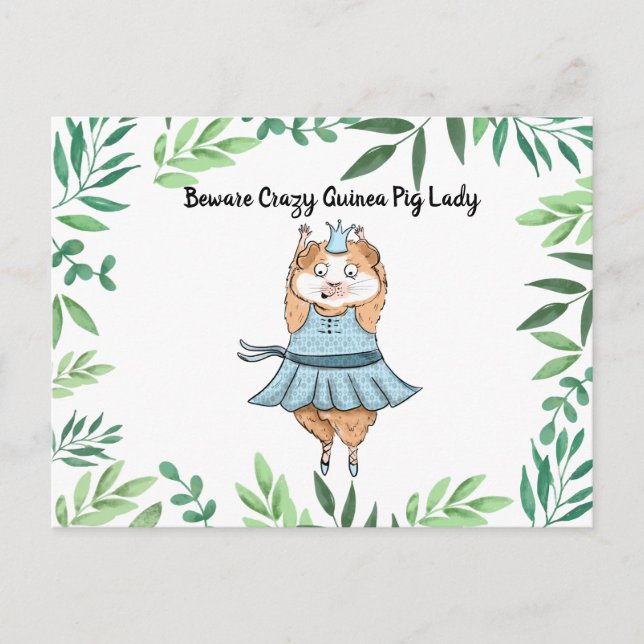 Beware Crazy Guinea Pig Lady  guinea pig Postcard (Front)