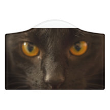 Beware! Here comes the Black Cat