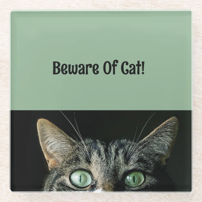 Beware Of Cat Green Glass Coaster (Front)