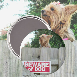 Beware of Cute Dog Magnet