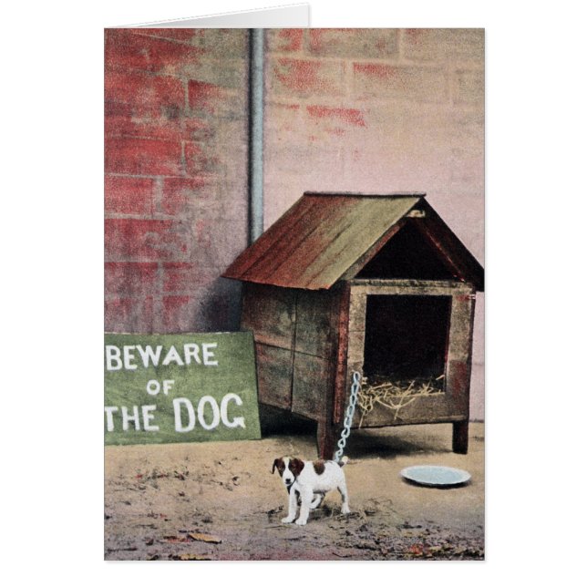Beware of dog sign with small dog (Front)
