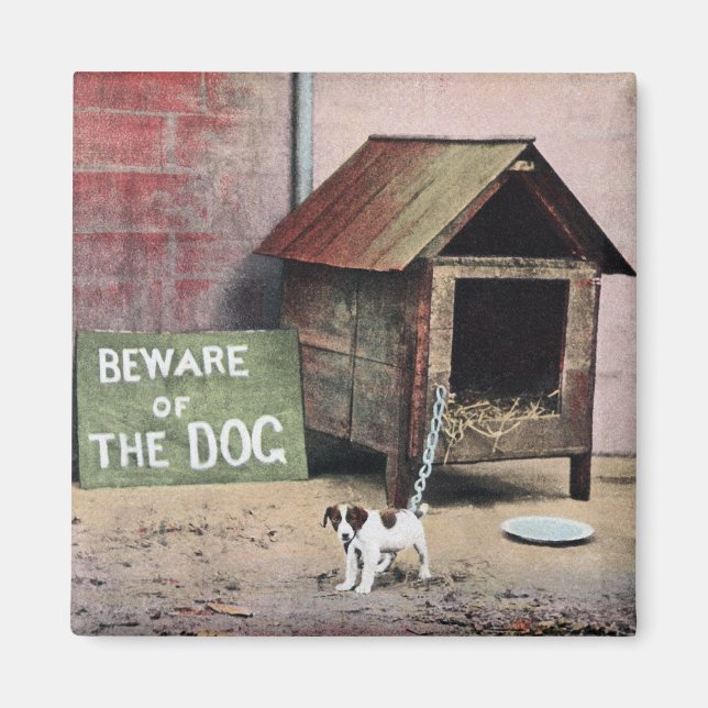 Beware of dog sign with small dog magnet (Front)