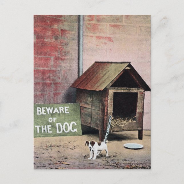 Beware of dog sign with small dog postcard (Front)