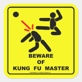 Beware of kung fu master square sticker