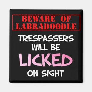 Beware of Licking Labradoodle (Black) Magnet