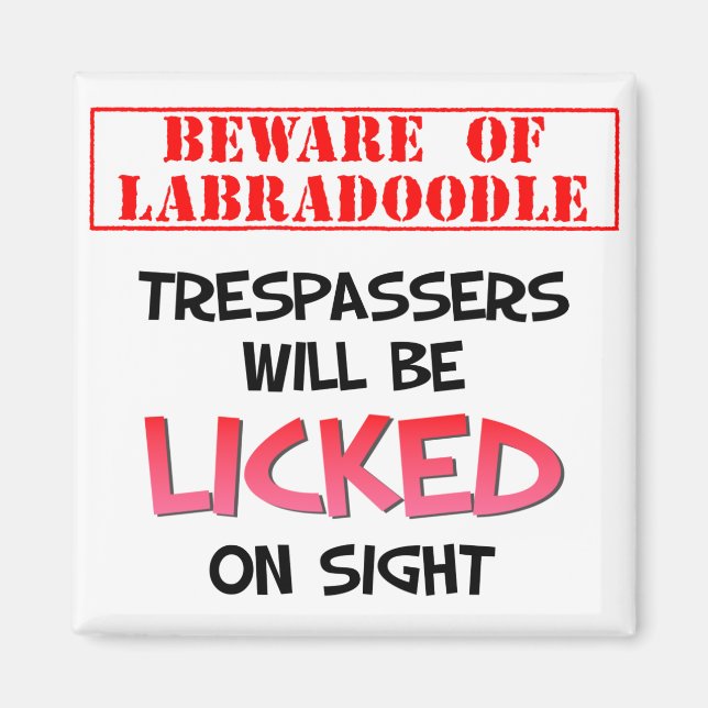 Beware of Licking Labradoodle (White) Magnet (Front)
