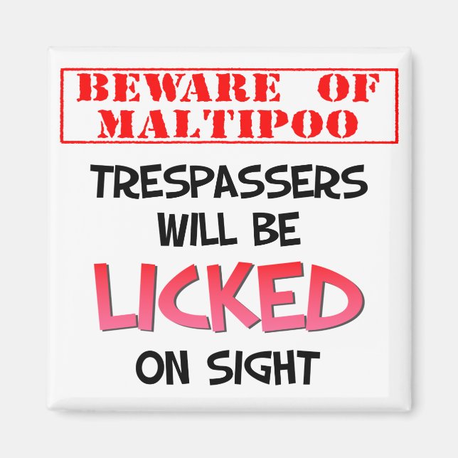 Beware of Licking Maltipoo (White) Magnet (Front)