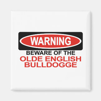 Beware Of Olde English Bulldogge Magnet