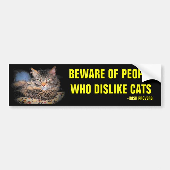 Beware of People Who Dislike Cats Irish Proverb Bumper Sticker (Front)