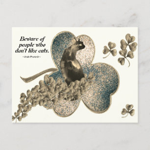 Beware of People Who Don't Like Cats Postcard
