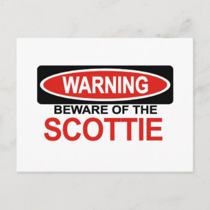 Beware Of Scottie Postcard