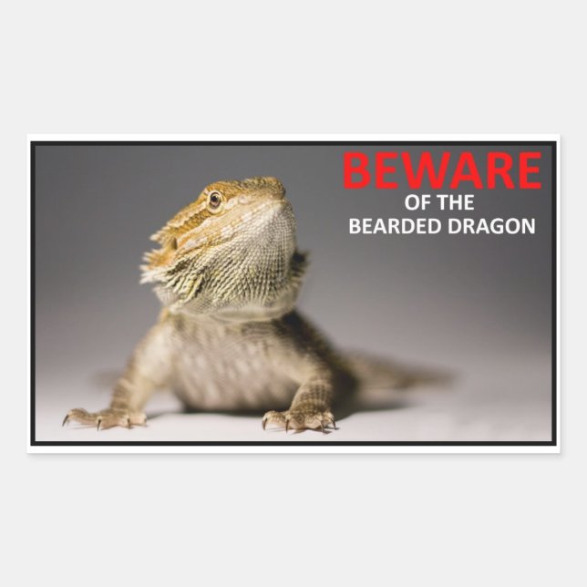 BEWARE of the bearded dragon Rectangular Sticker (Front)